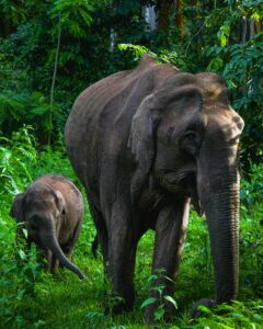 Current Affairs in Hindi